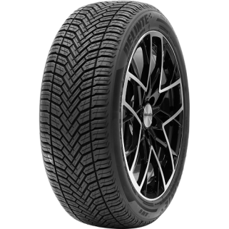 Delinte AW6 AllWeather 175/65R14