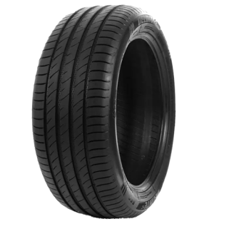 Delinte DS2 195/50R16