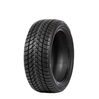 Delinte WD1 195/55R15